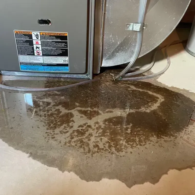 Appliance Leak Cleanup in Harvard, IL